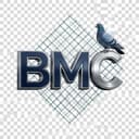 BMC Safety Nets Icon
