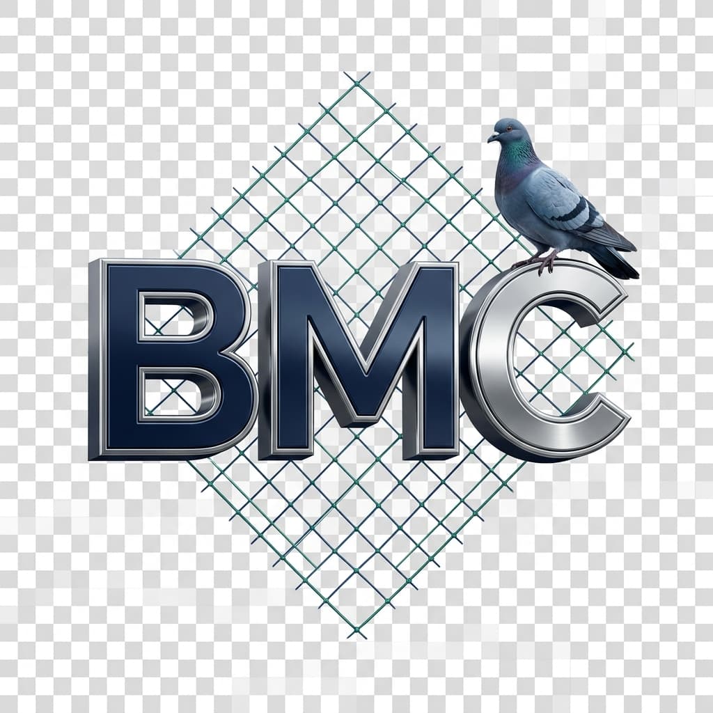 BMC Safety Nets Icon